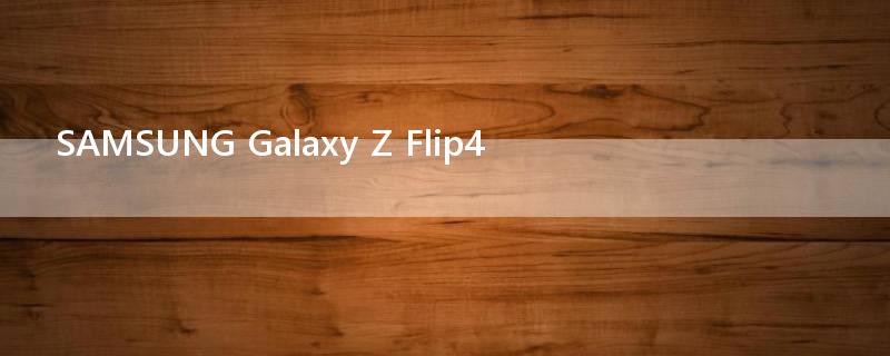 SAMSUNG Galaxy Z Flip4?